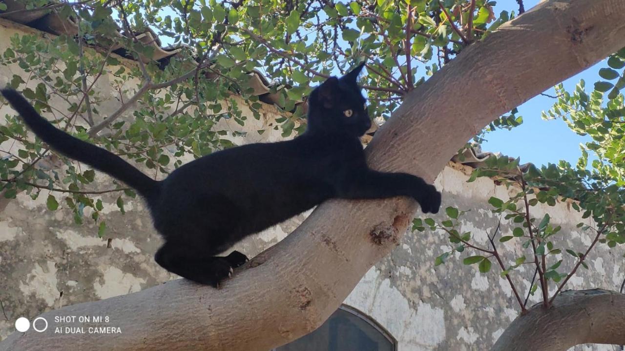 Il Baglio Di Kharrub Rural Guest House Pozzallo Dış mekan fotoğraf